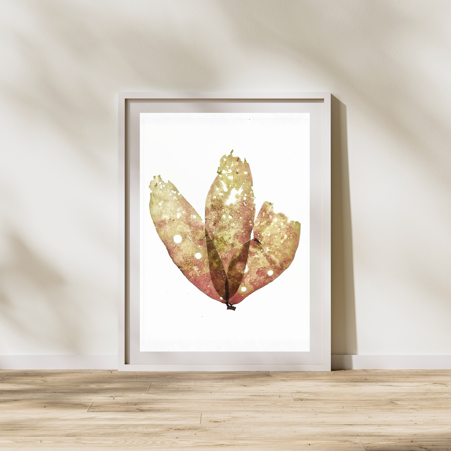 Red Seaweed IV Marine Botanical Print - Atlantic Canadian Nature Art