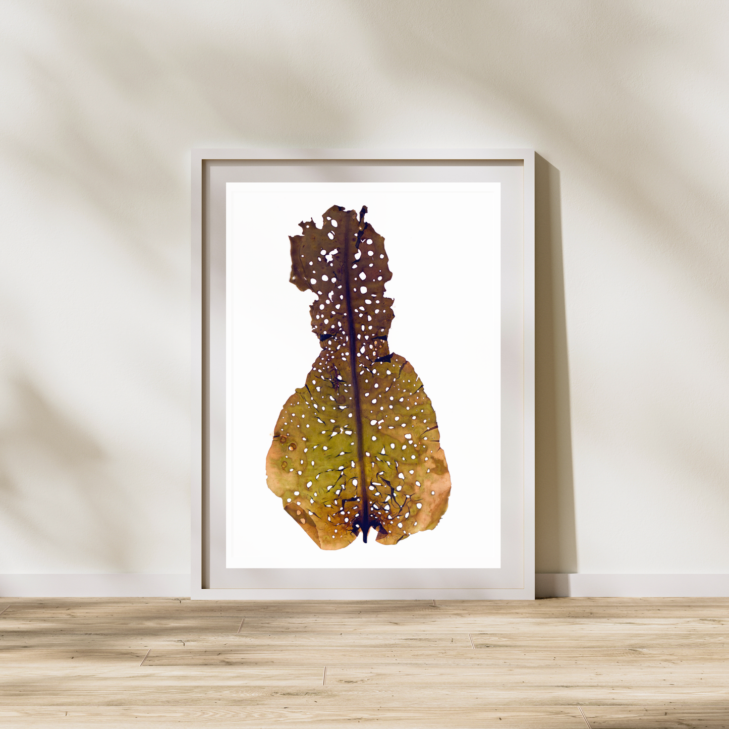 Brown Seaweed IV Marine Botanical Print - Atlantic Canadian Nature Art