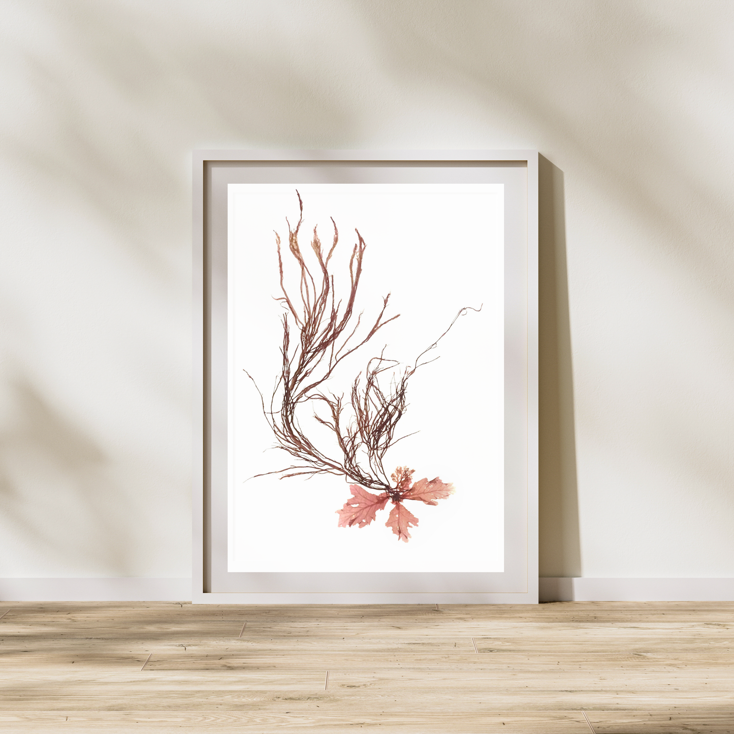 Seaweed Compilation XVI Marine Botanical Print - Atlantic Canadian Nature Art