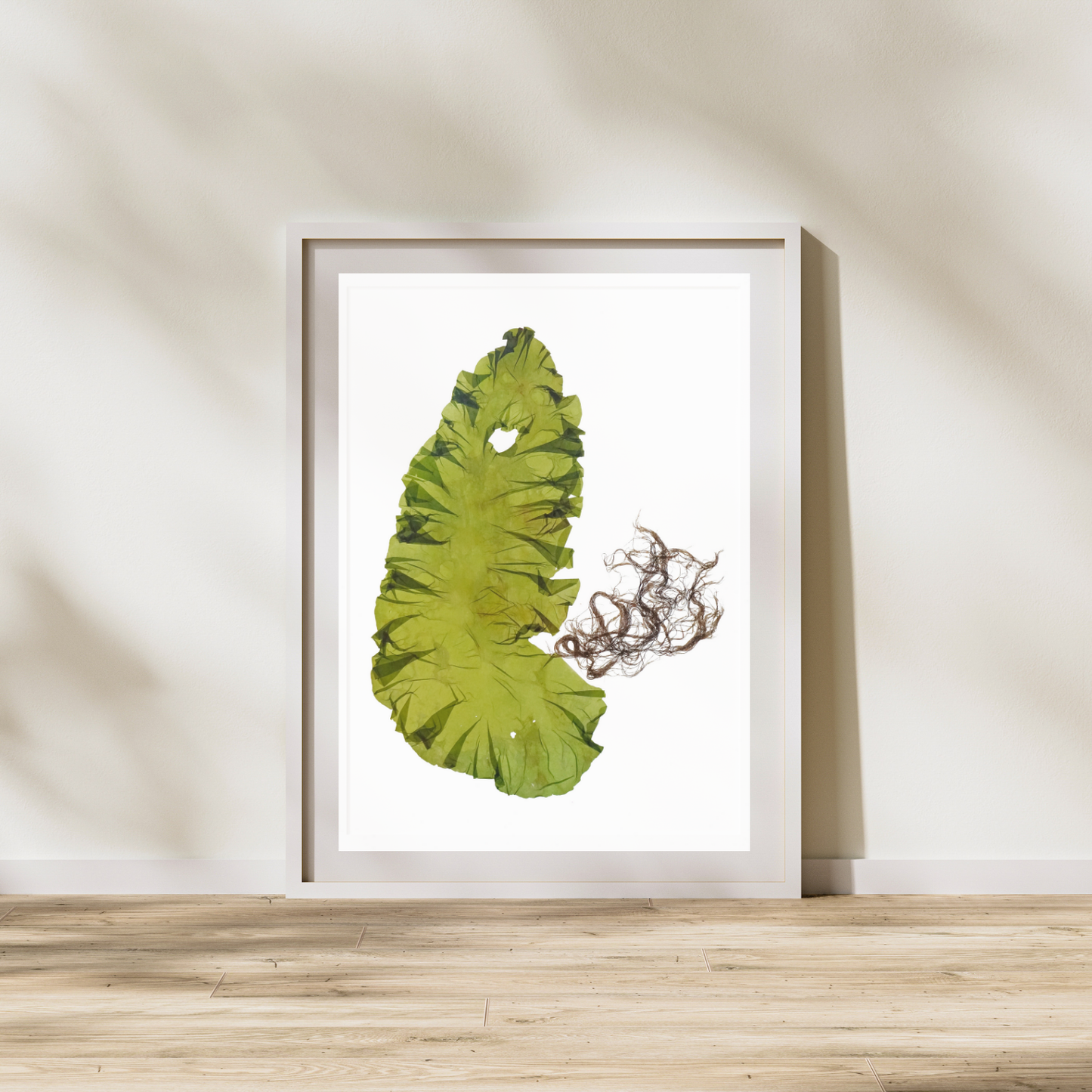 Green Seaweed I Marine Botanical Print - Atlantic Canadian Nature Art