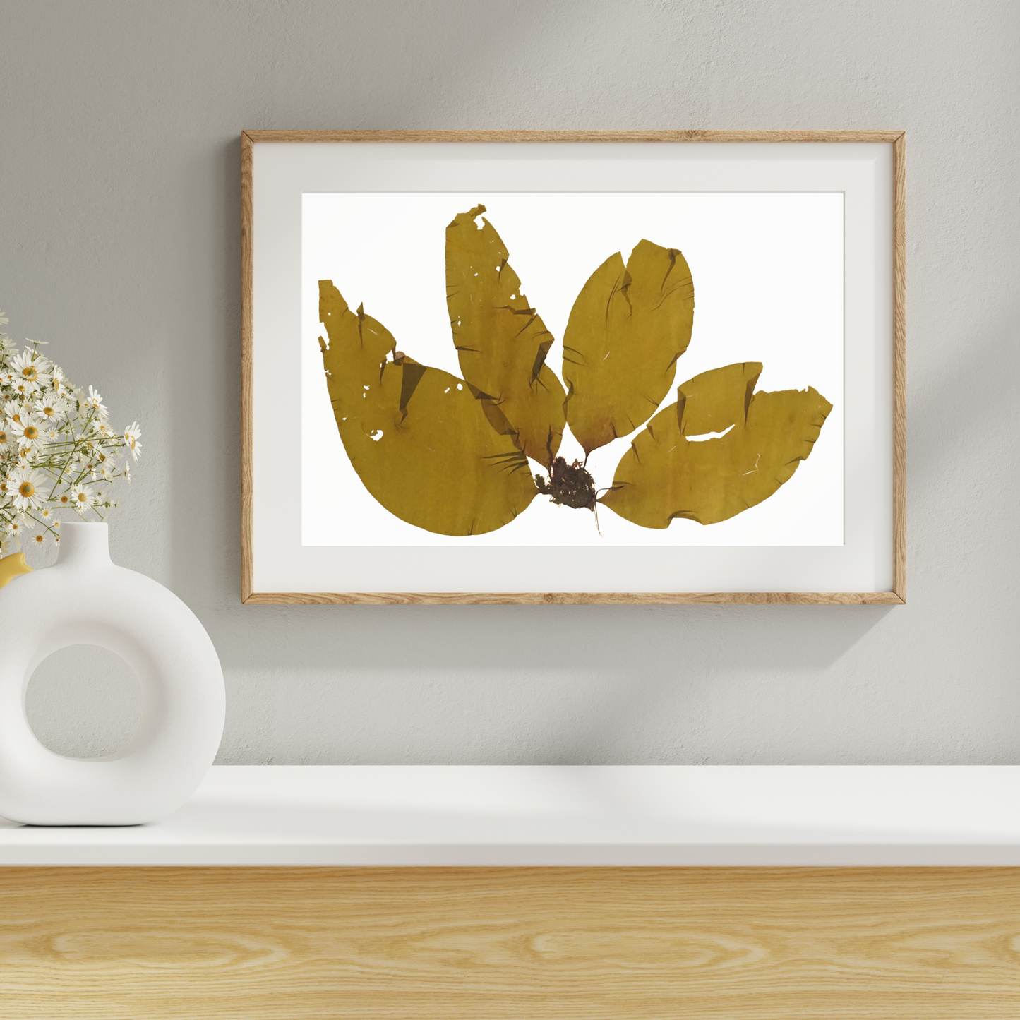 Brown Seaweed I Marine Botanical Print - Atlantic Canadian Nature Art