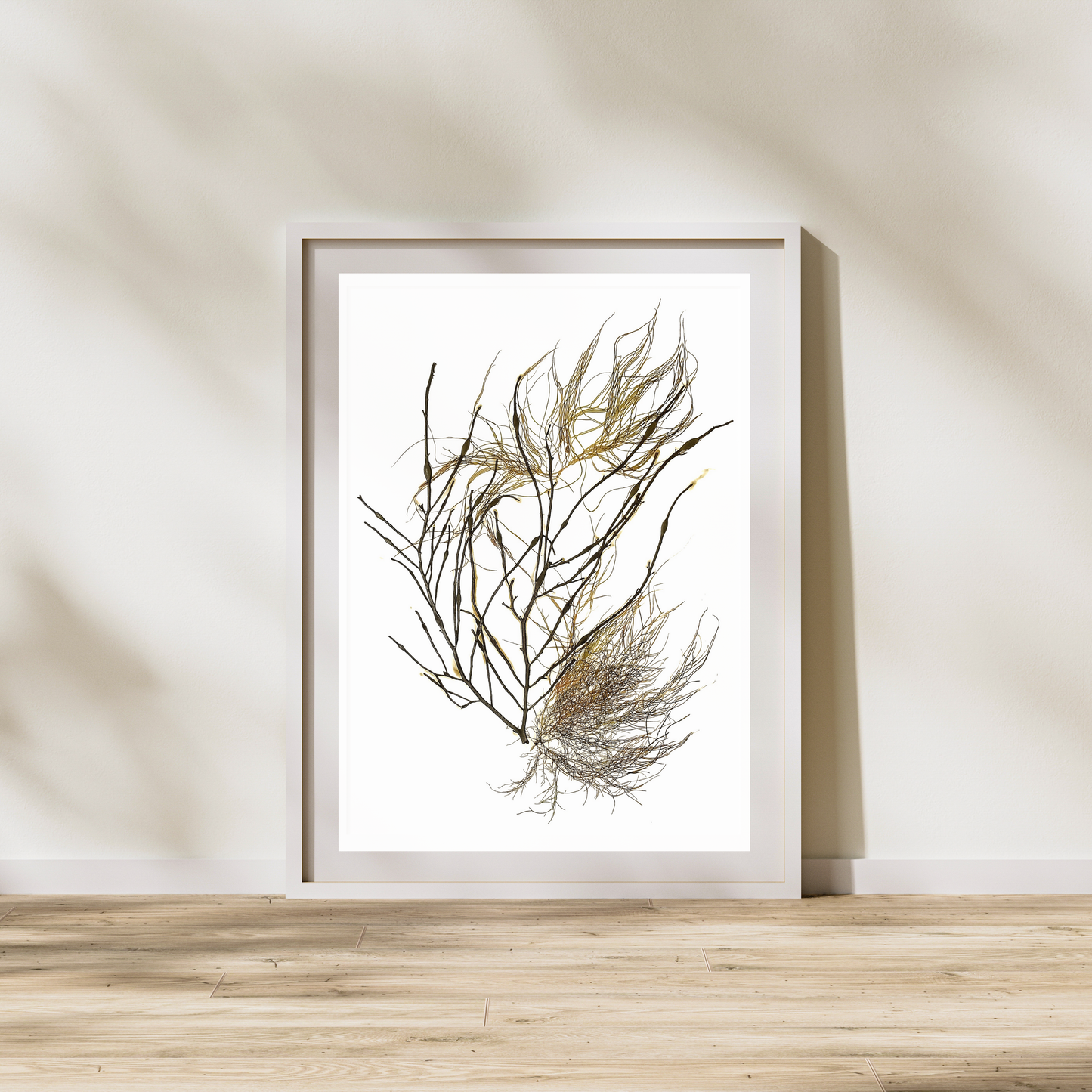 Seaweed Compilation II Marine Botanical Print - Atlantic Canadian Nature Art