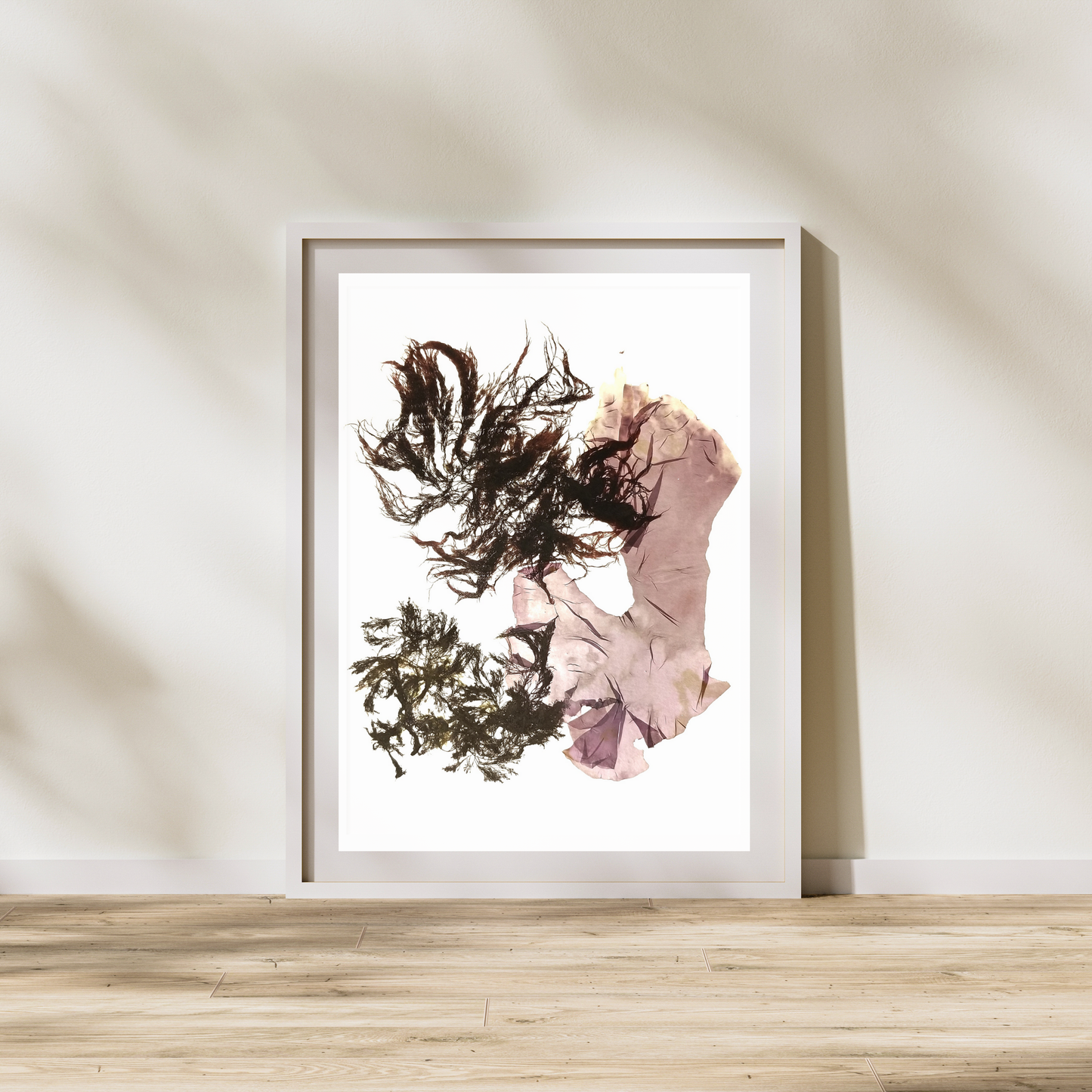 Red Seaweed I Marine Botanical Print - Atlantic Canadian Nature Art