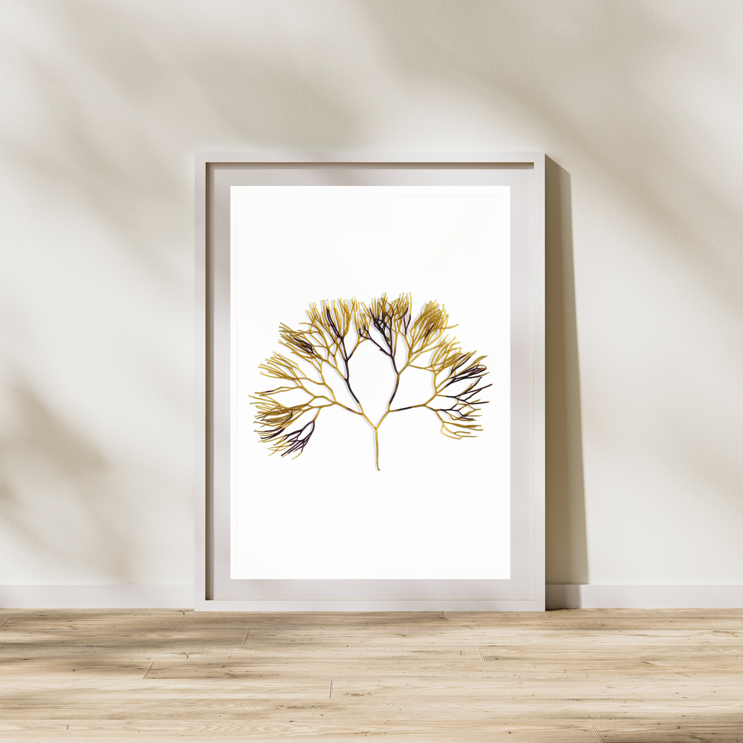 Seaweed Marine Botanical Print - Atlantic Canadian Nature Art