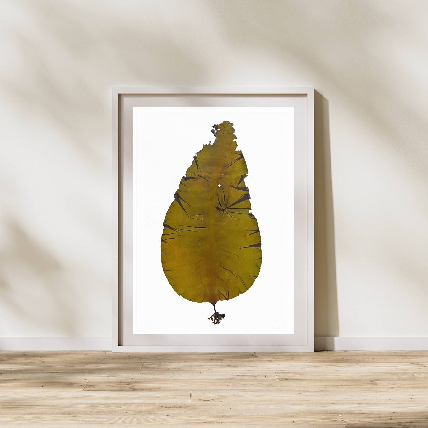 Brown Seaweed III Marine Botanical Print - Atlantic Canadian Nature Art