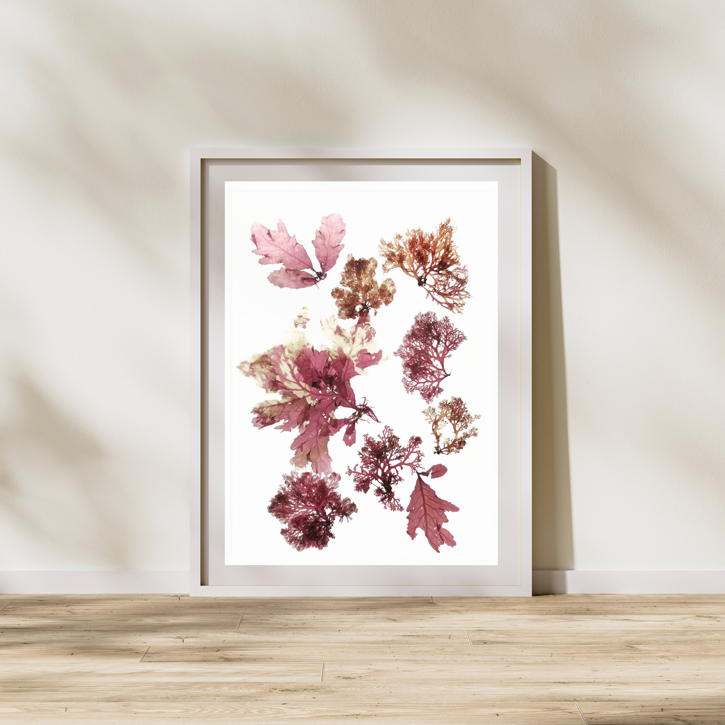 Seaweed Compilation X Marine Botanical Print - Atlantic Canadian Nature Art