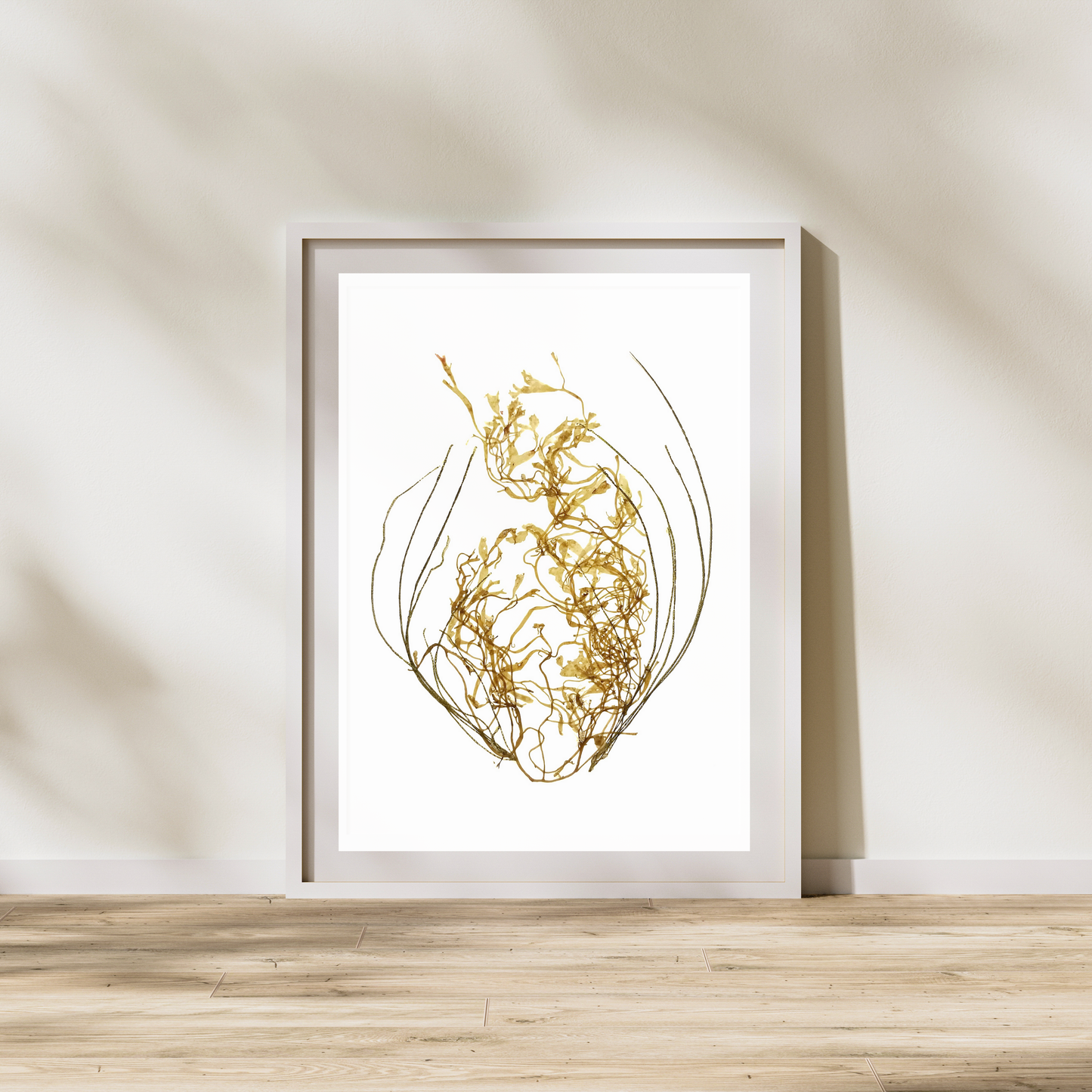 Seaweed Compilation XIV Marine Botanical Print - Atlantic Canadian Nature Art