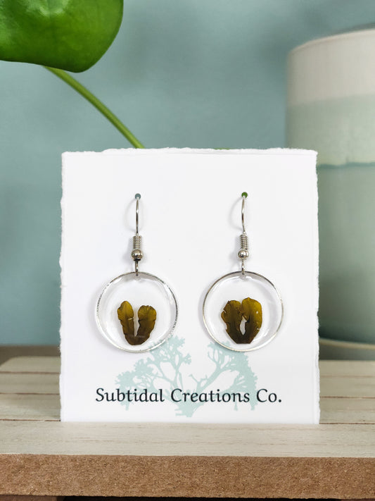 *Seaweed Earrings