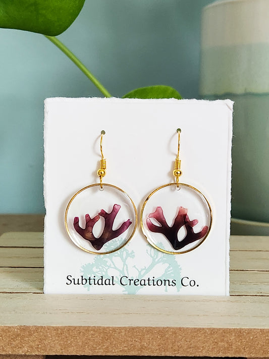 *Seaweed Earrings