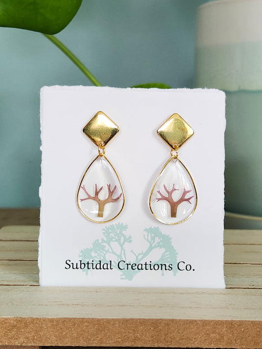 *Seaweed Earrings
