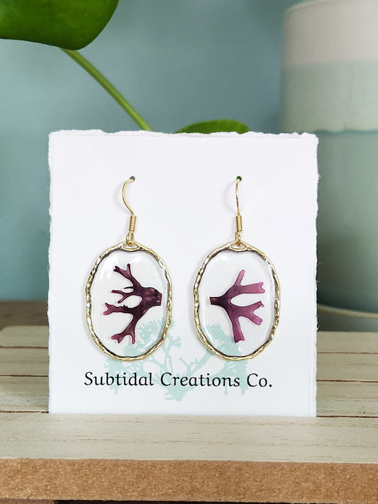 *Seaweed Earrings