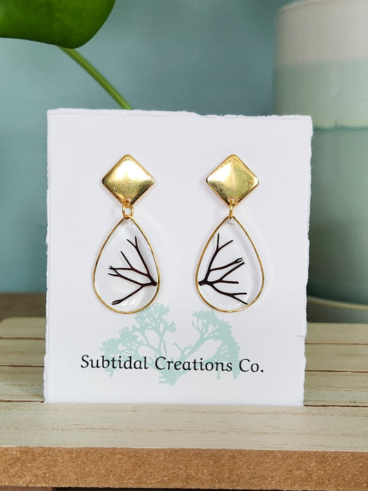 *Seaweed Earrings