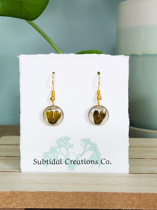 *Seaweed Earrings