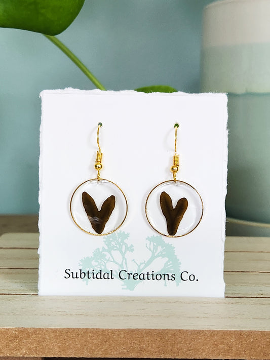 *Seaweed Earrings