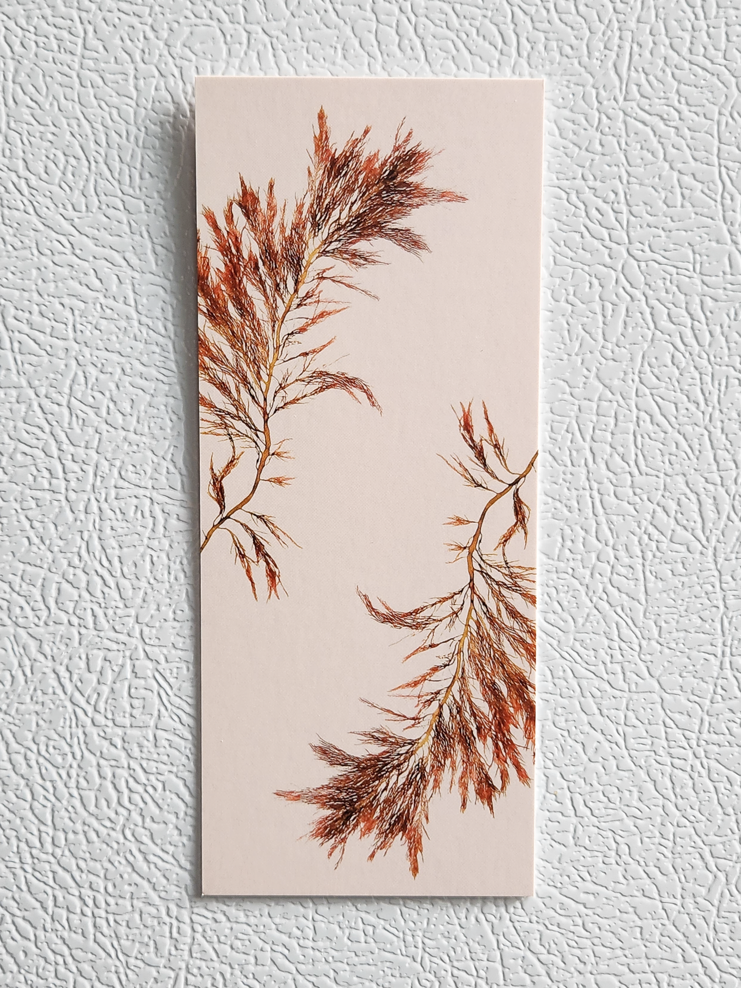 Seaweed Bookmark