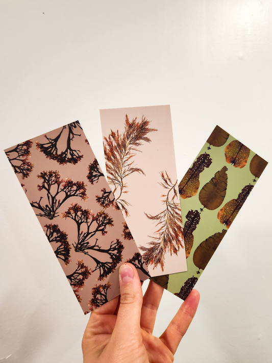 Seaweed Bookmark