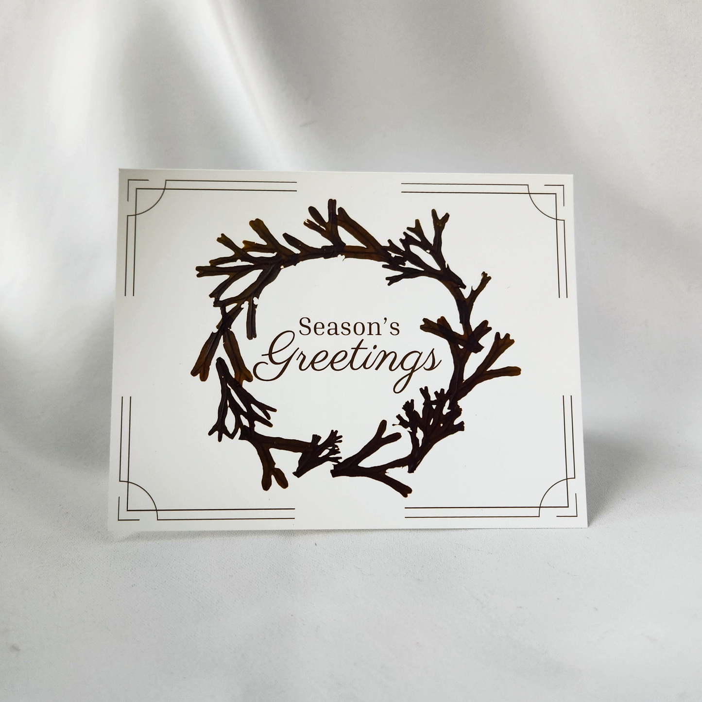 *Christmas/Holiday Card Pack (Set of 3) - Seaweed Greeting Cards