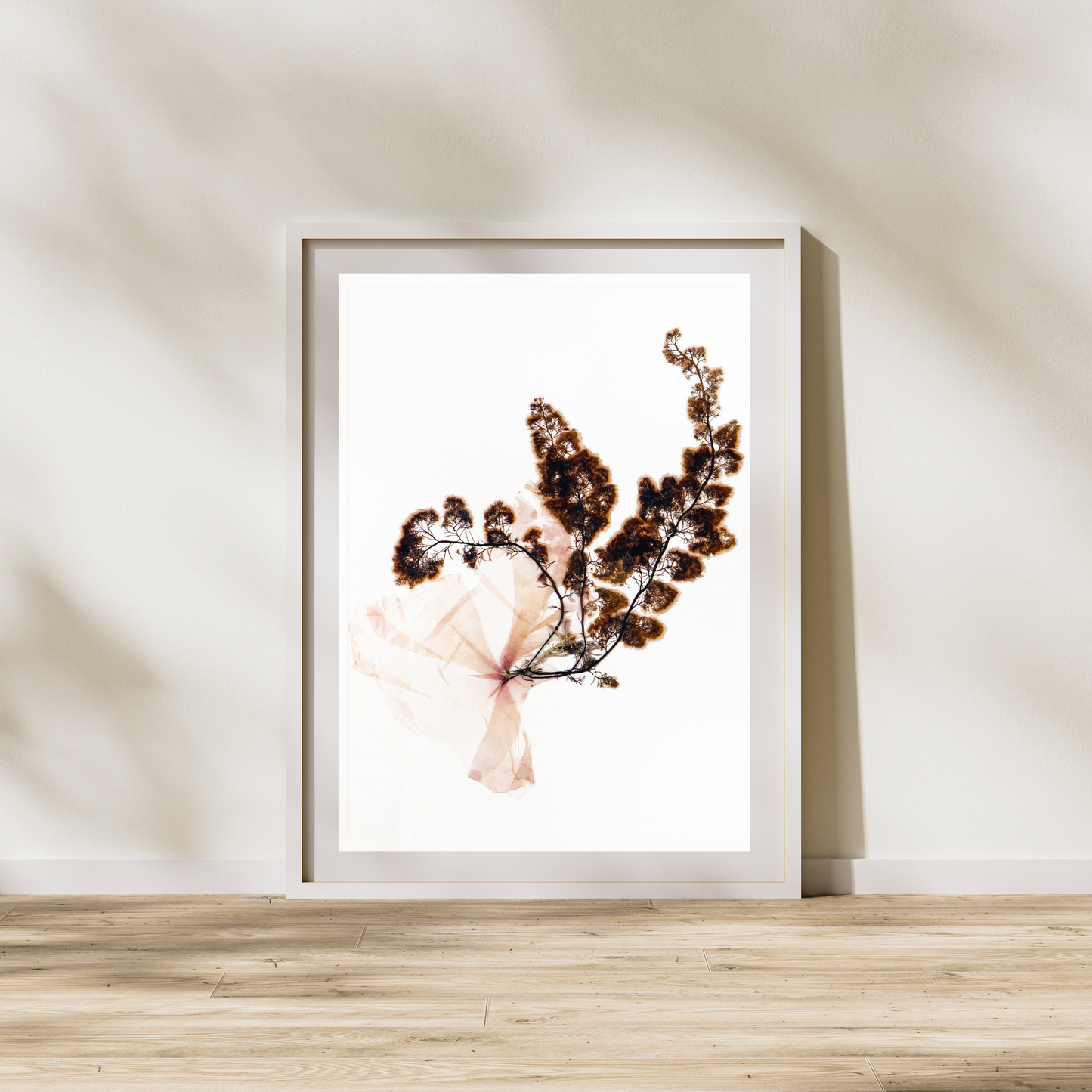 *Red Seaweed II Marine Botanical Print - Atlantic Canadian Nature Art